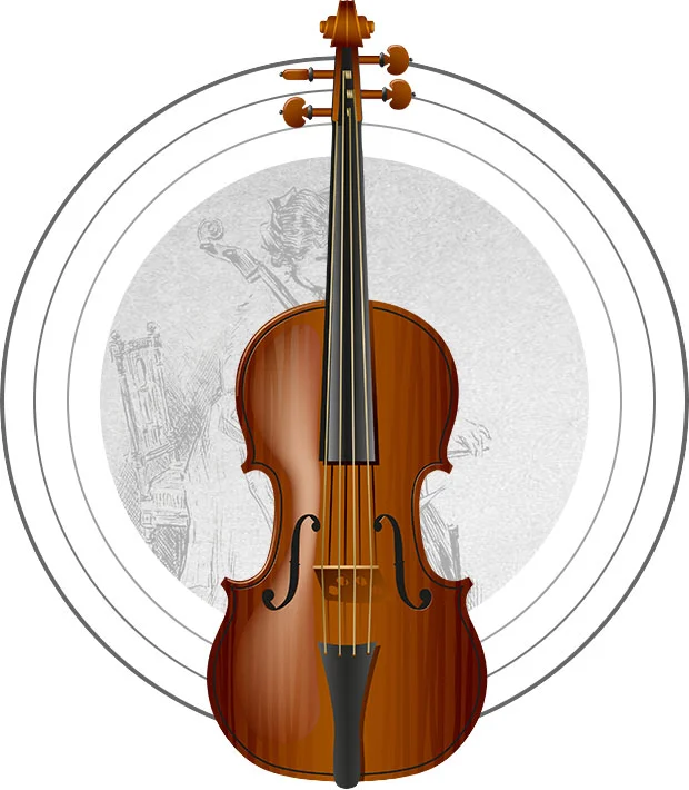 Learn The Parts Of The Violin