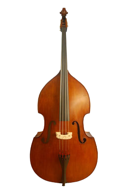Acoustic Double Bass Custom