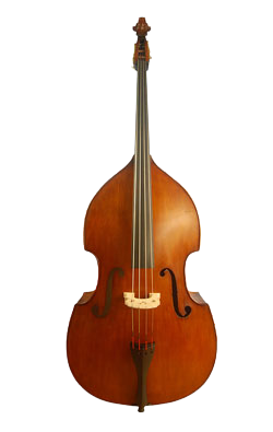 Acoustic Double Bass