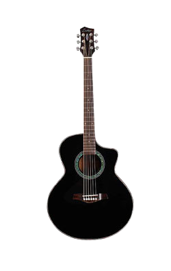Acoustic Guitar Musical Instrument