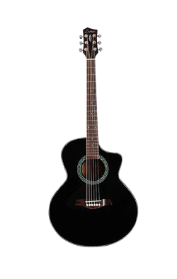 Acoustic Guitar