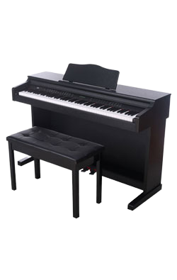 Electric Piano / Digital Piano