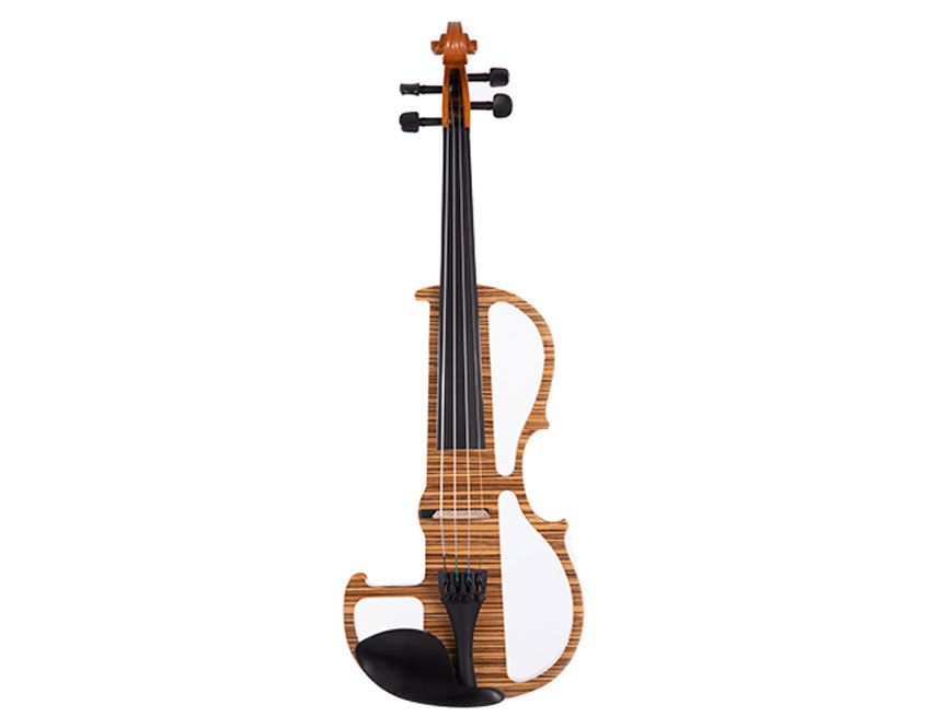 Professional Electric Violin