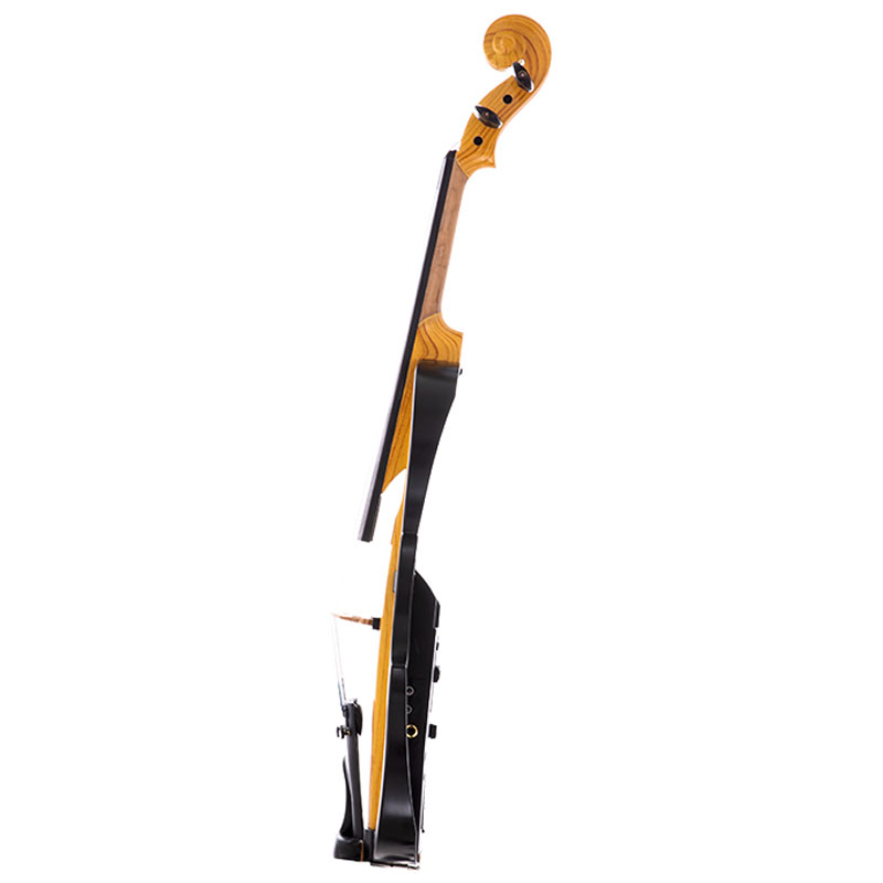Cool Electric Violin