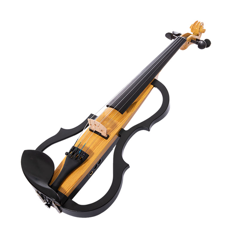 Cool Electric Violin