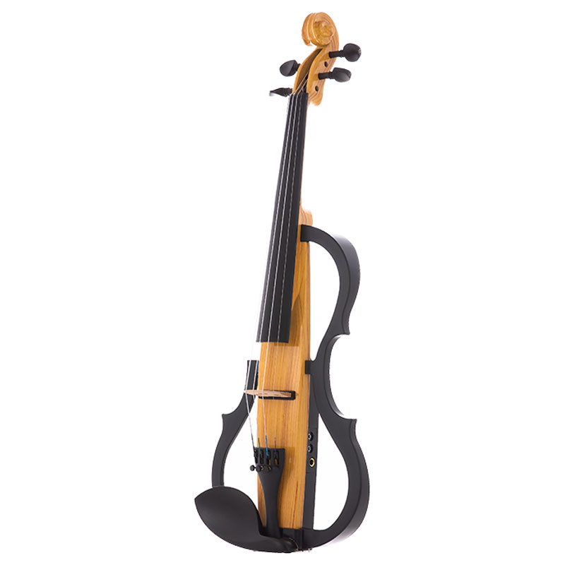 Cool Electric Violin