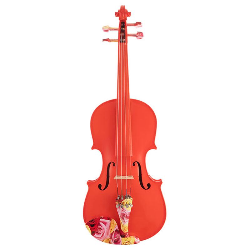 Semi Acoustic Violin