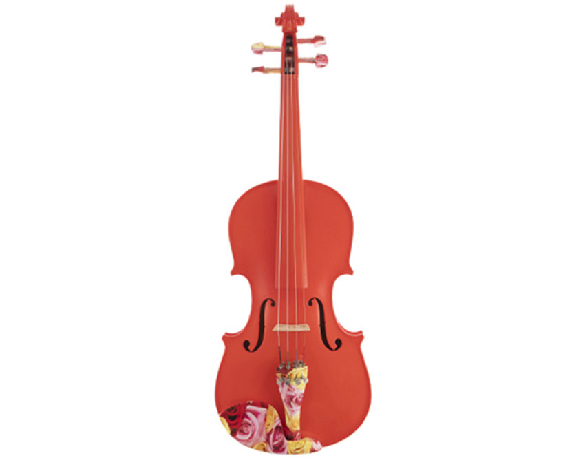 Acoustic Violin Price