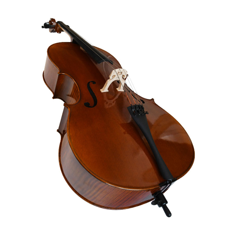 Acoustic Electric Cello