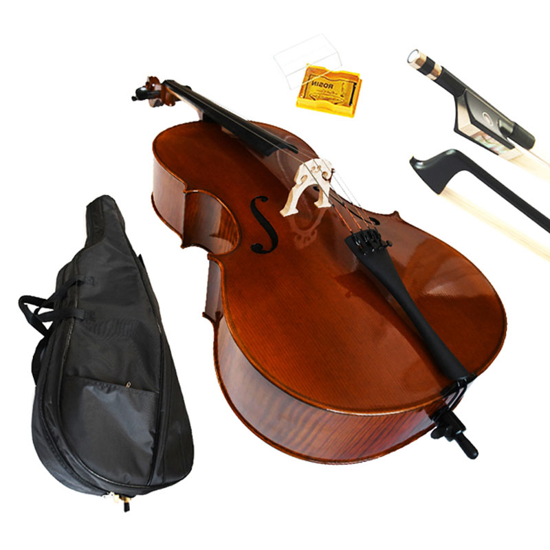 Acoustic Electric Cello