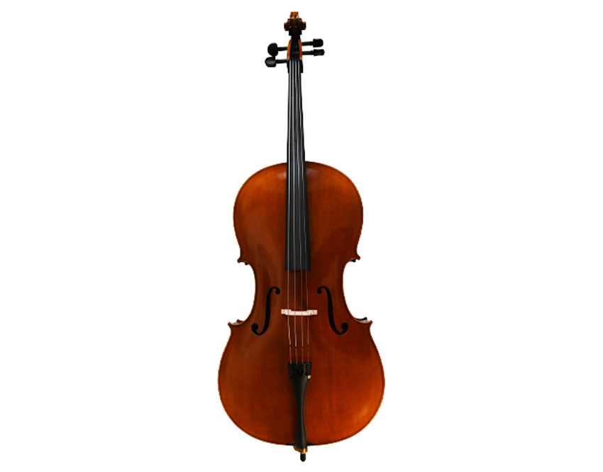 Acoustic Electric Cello for Sale