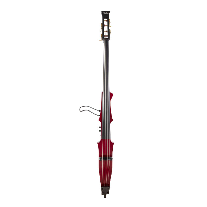 Electric Upright Bass
