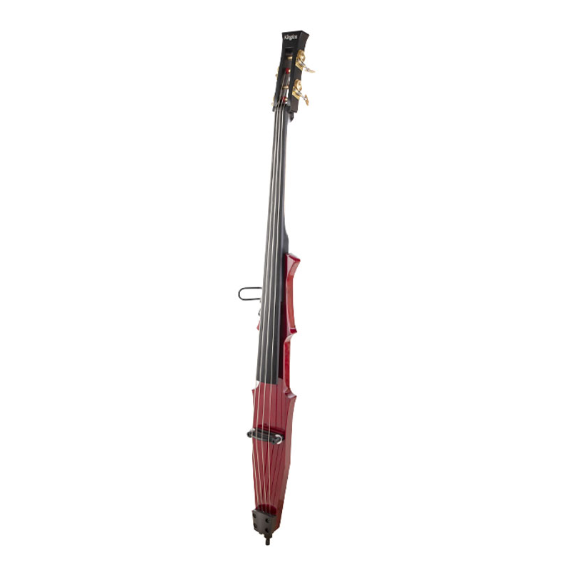 Electric Upright Bass