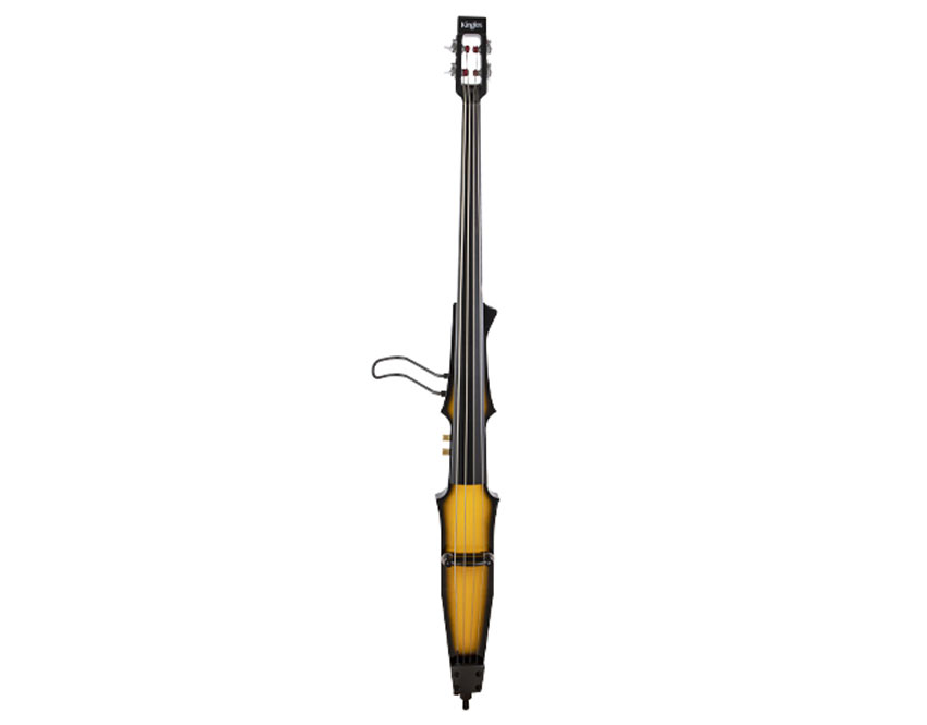 Electric Upright Bass for Sale