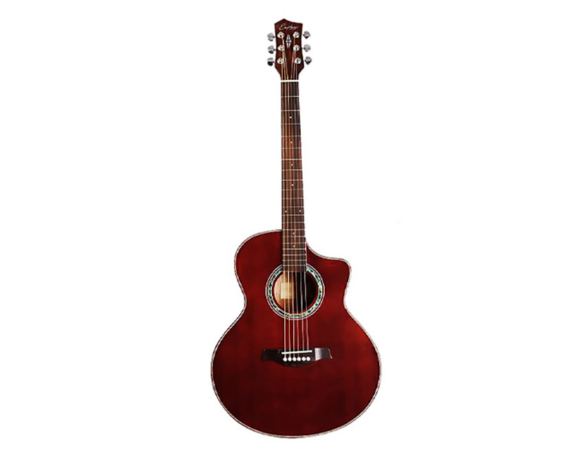 Acoustic Guitar Companies