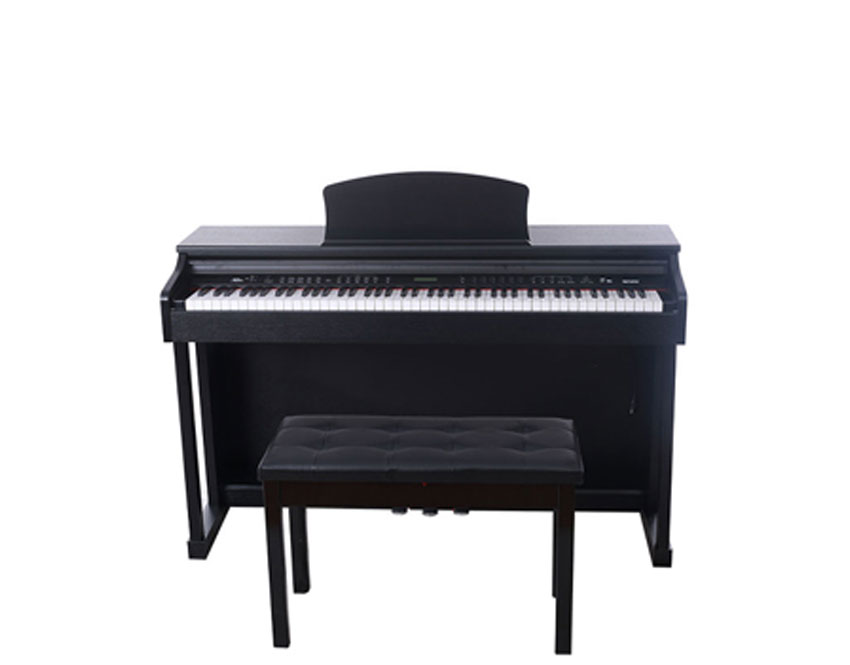 New Digital Piano