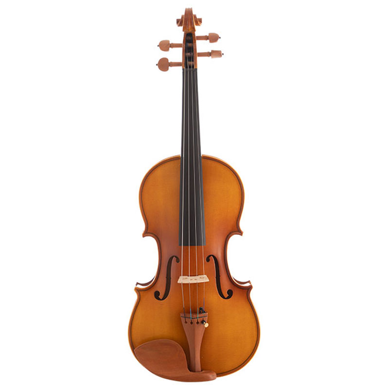 Beginner Violin For Sale