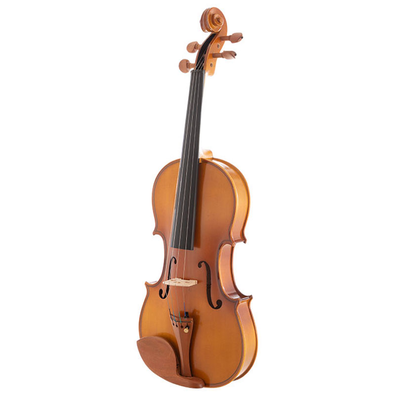 Beginner Violin For Sale