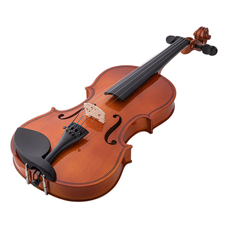 Beginner Violin