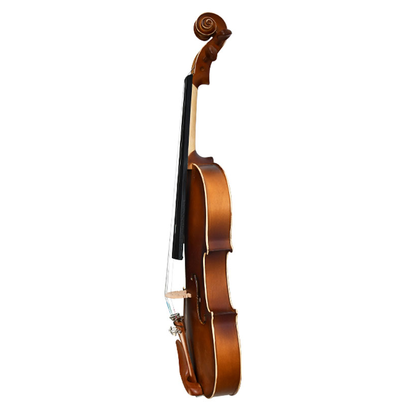 Acoustic Violin Price