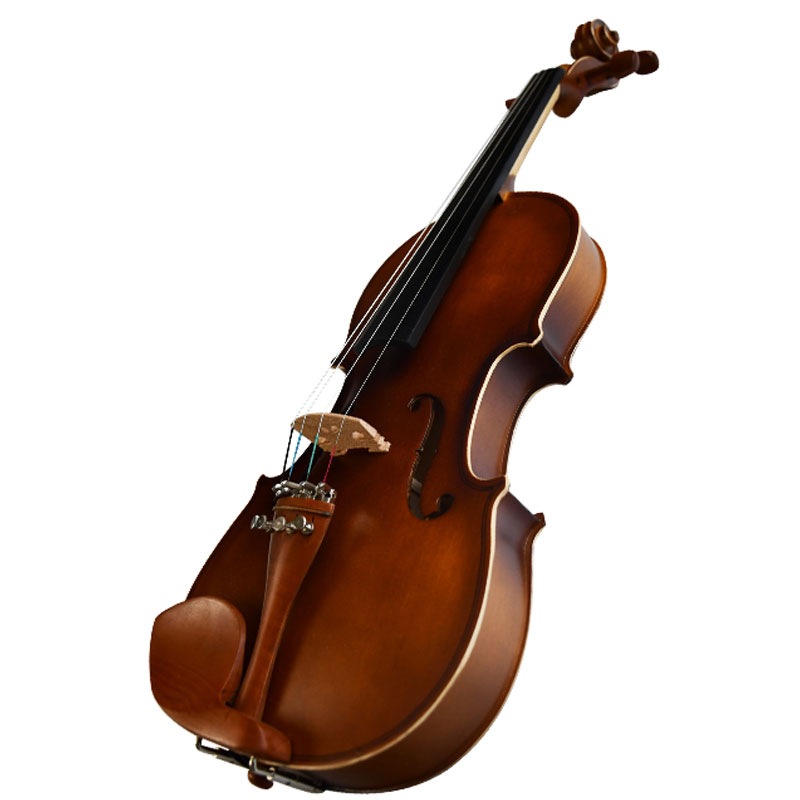 Violin For Beginners For Sale