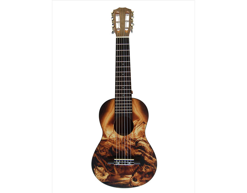 Ukulele Cost