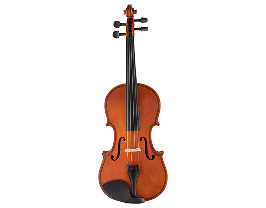 Beginner Violin Price