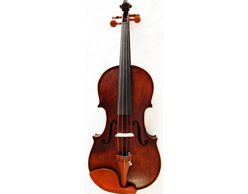 Beginner Violin Cost
