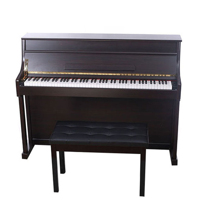 Digital Player Piano