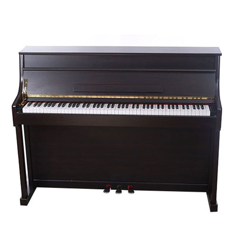 Digital Player Piano