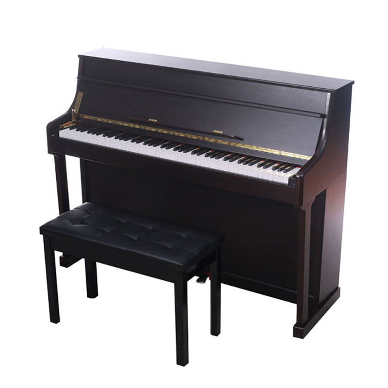 Digital Player Piano