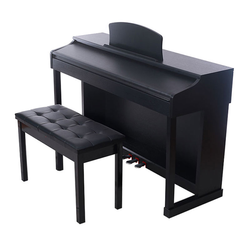 Electric Piano Musical Instrument