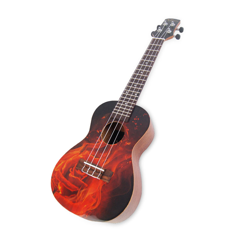 Ukulele Suppliers