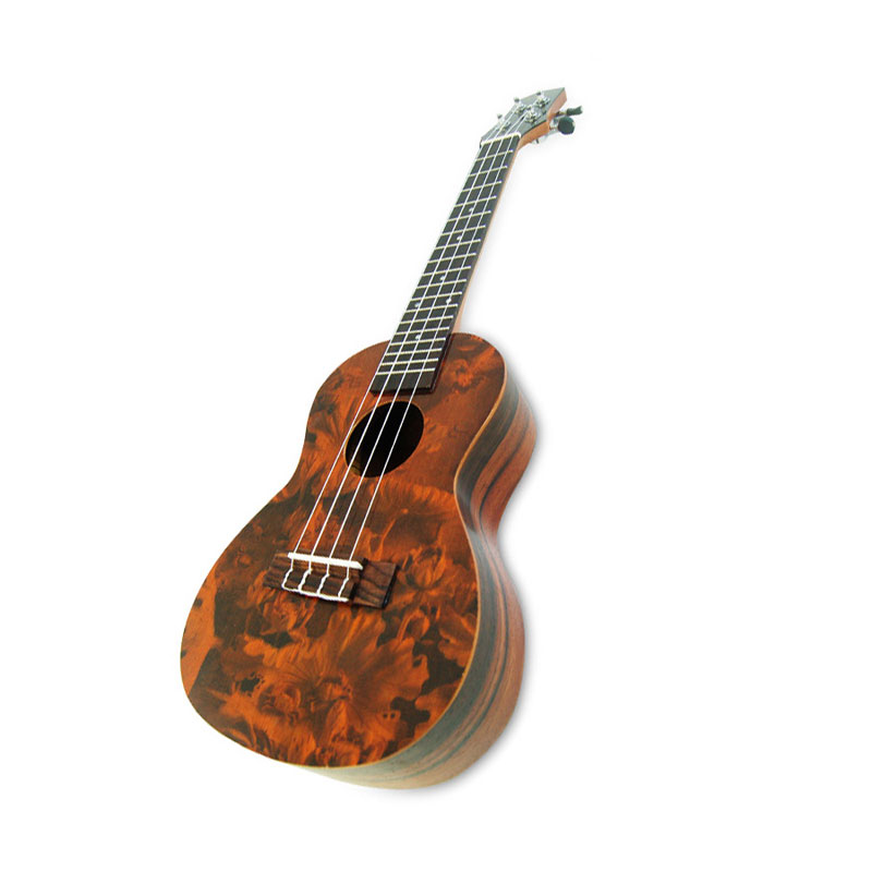 Cheap Ukulele for Sale