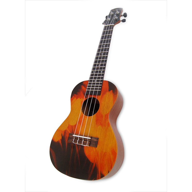 Ukulele Kinds