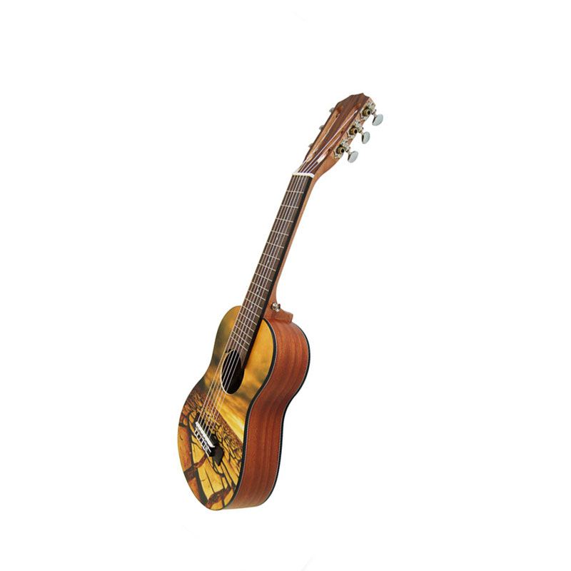 Ukulele Manufacturers