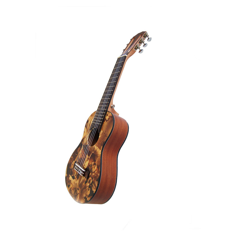 Ukulele Company