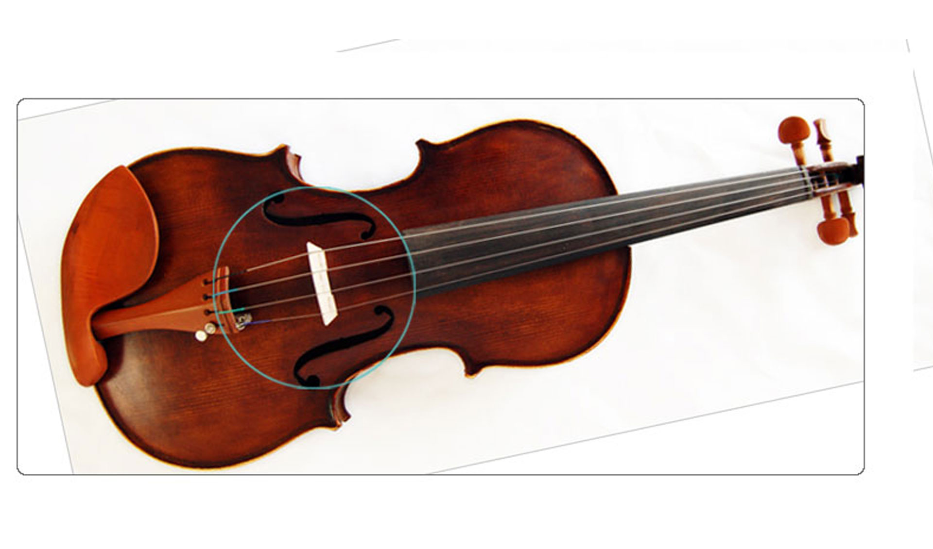 String Instruments Examples