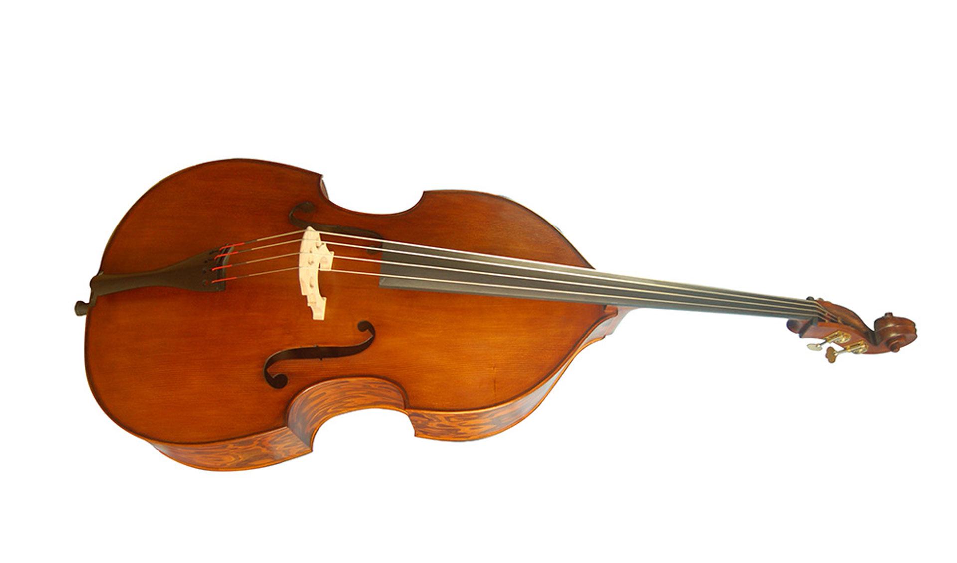 Double Bass Musical Instrument