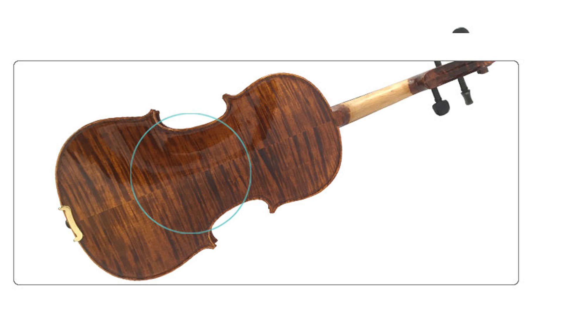 String Instruments Examples