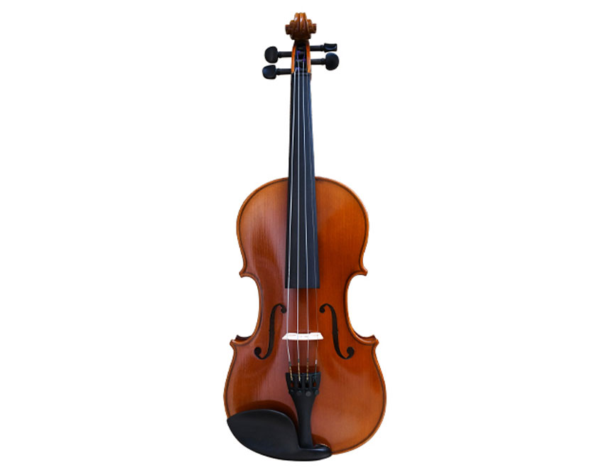 Acoustic Violin Price