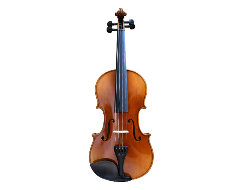 Semi Acoustic Violin