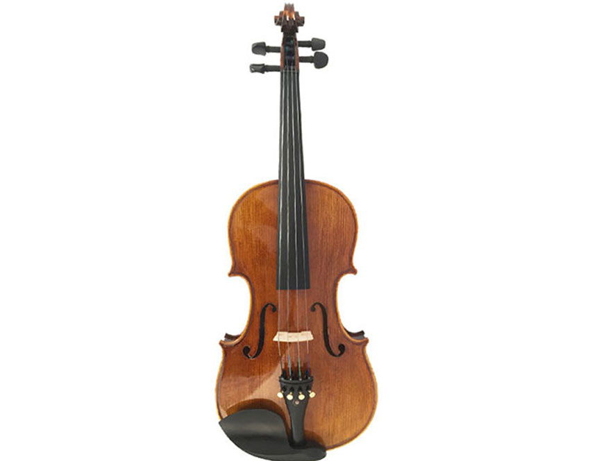 Semi Acoustic Violin