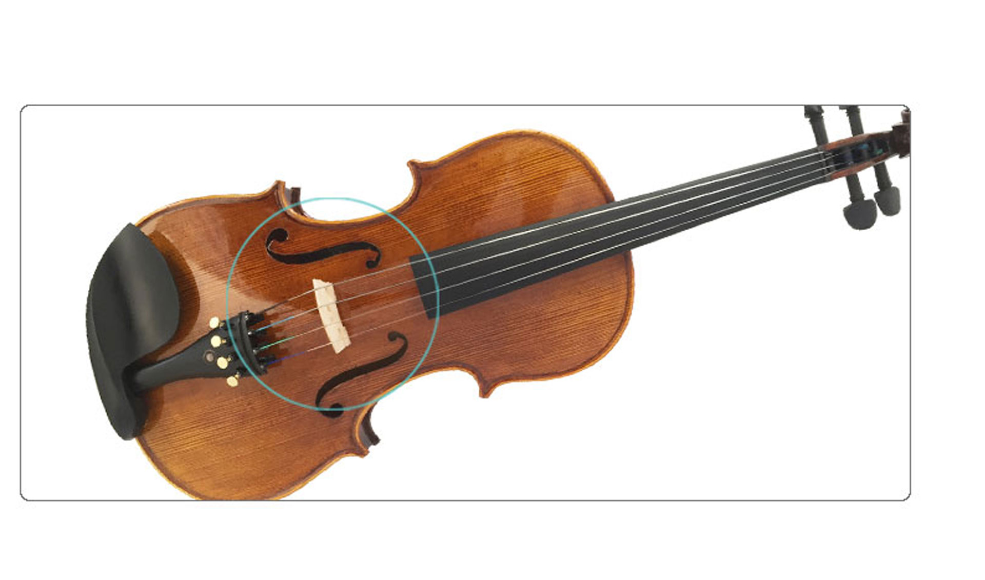 String Instruments Examples