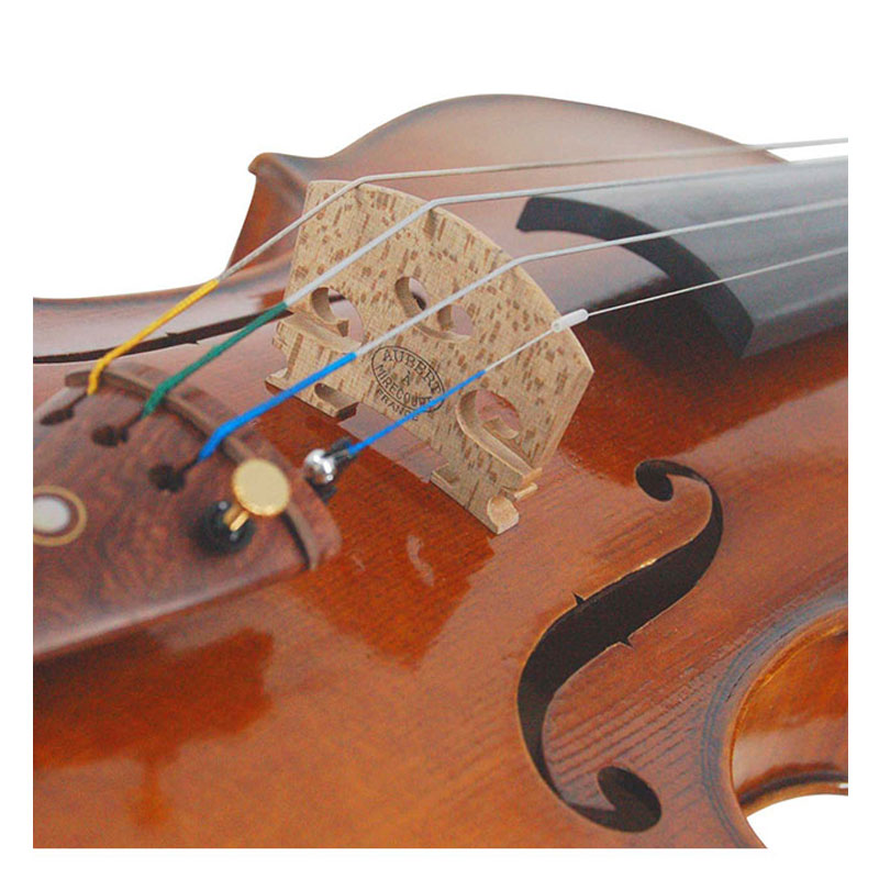 Acoustic Violin