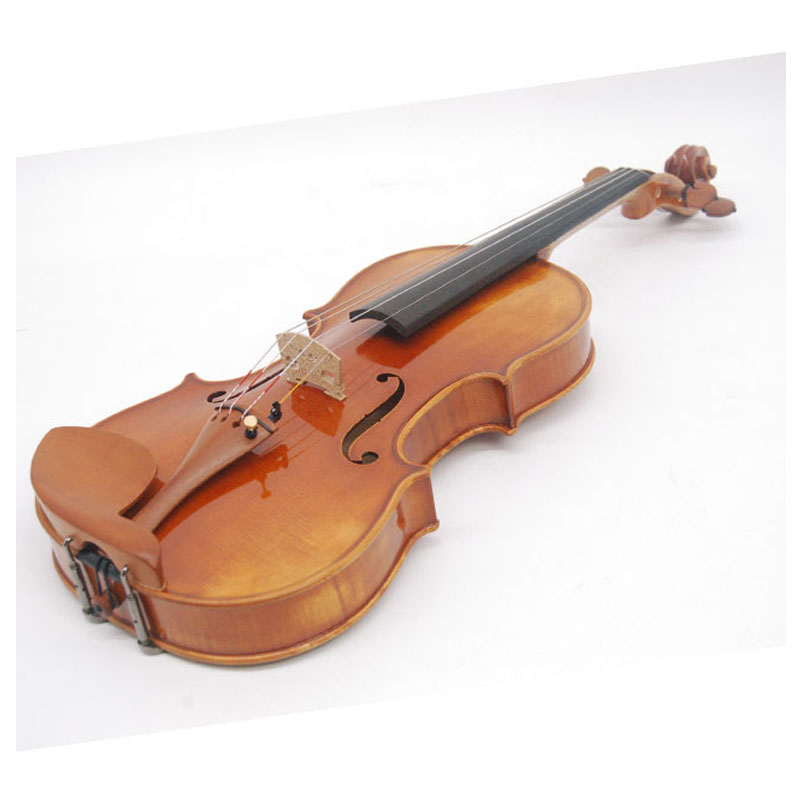 Acoustic Violin Price