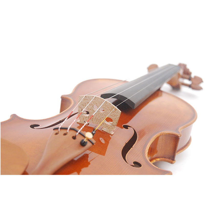 Acoustic Violin Price