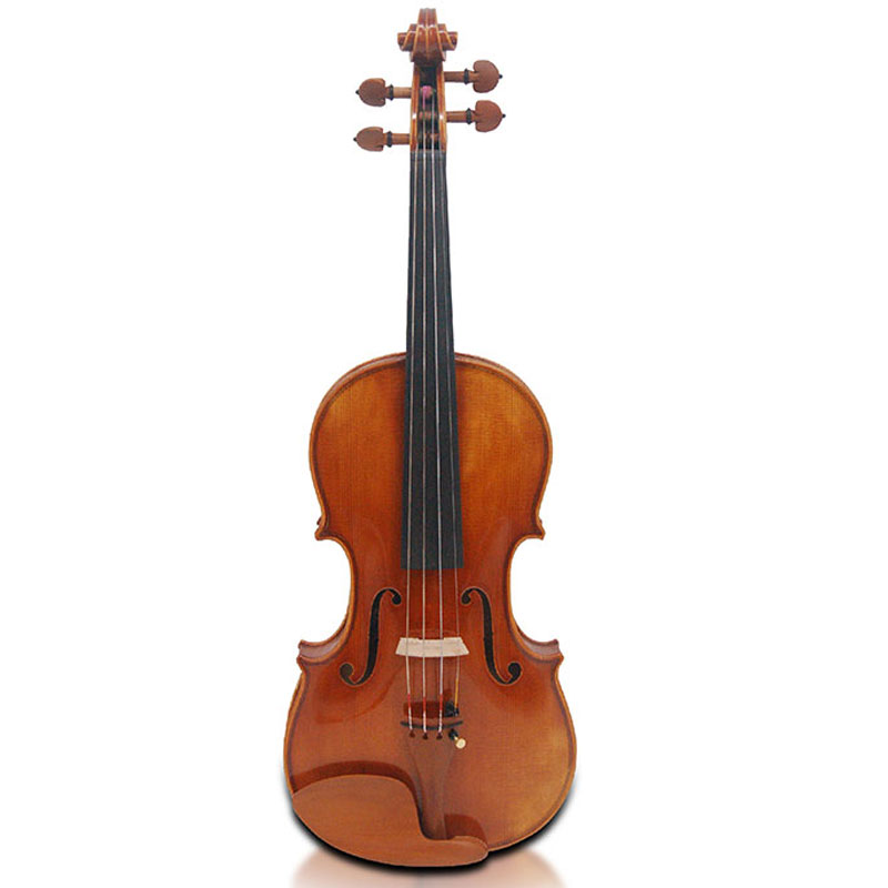 Acoustic Violin Price