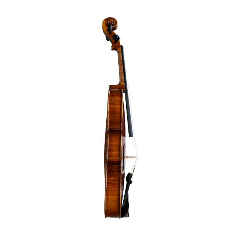 Semi Acoustic Violin