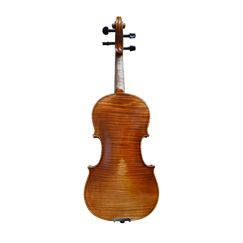 Semi Acoustic Violin
